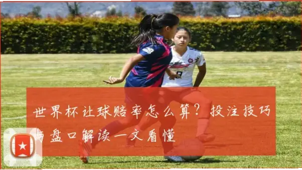世界杯足彩赔付率表怎么看？新手必读